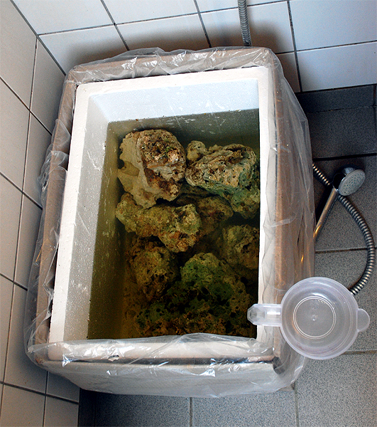 Tørlagte sten Rengøring af tørlagte sten.